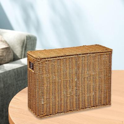 Basket with Lid And Handle, Narrow Vertical Organizer Box, Bin for Files, Books, Everyday