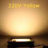 10W 20W 30W 50W 100W Induction Led Flood Light With Adjustable PIR Sensor 110V 220V Floodlight Street Square Outdoor Lighting