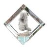 Lakeland Terrier – Crystal Cube with a Photo, Photo of a Horse In Crystal |