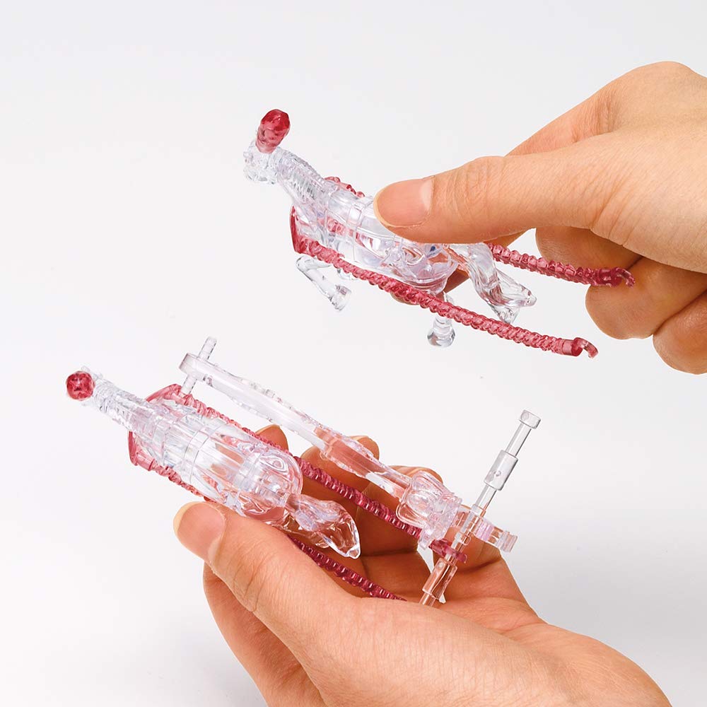 BEVERLY 67-Piece Crystal Puzzle Royal Carriage Rose 50263