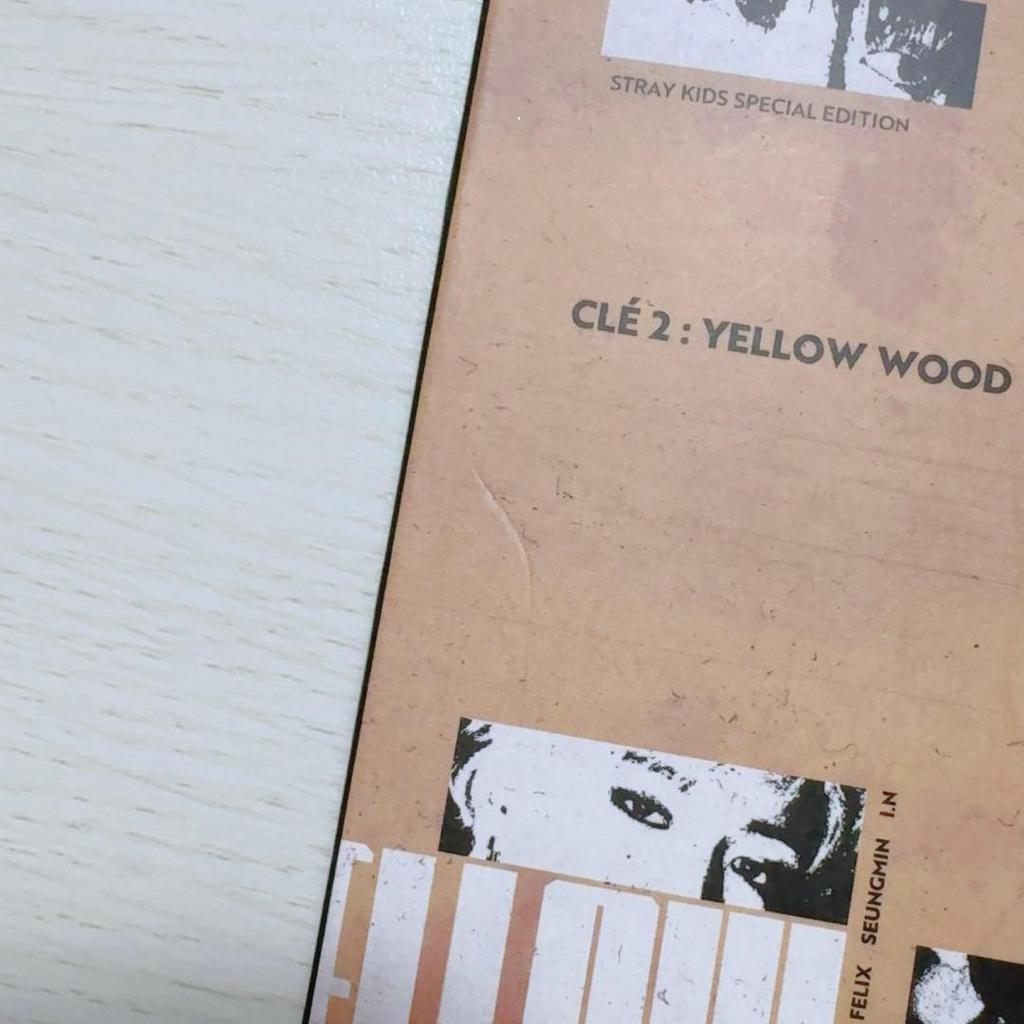 [USED] Rare Straykids YELLOWWOOD Taiwan Limited Edition Seungmin