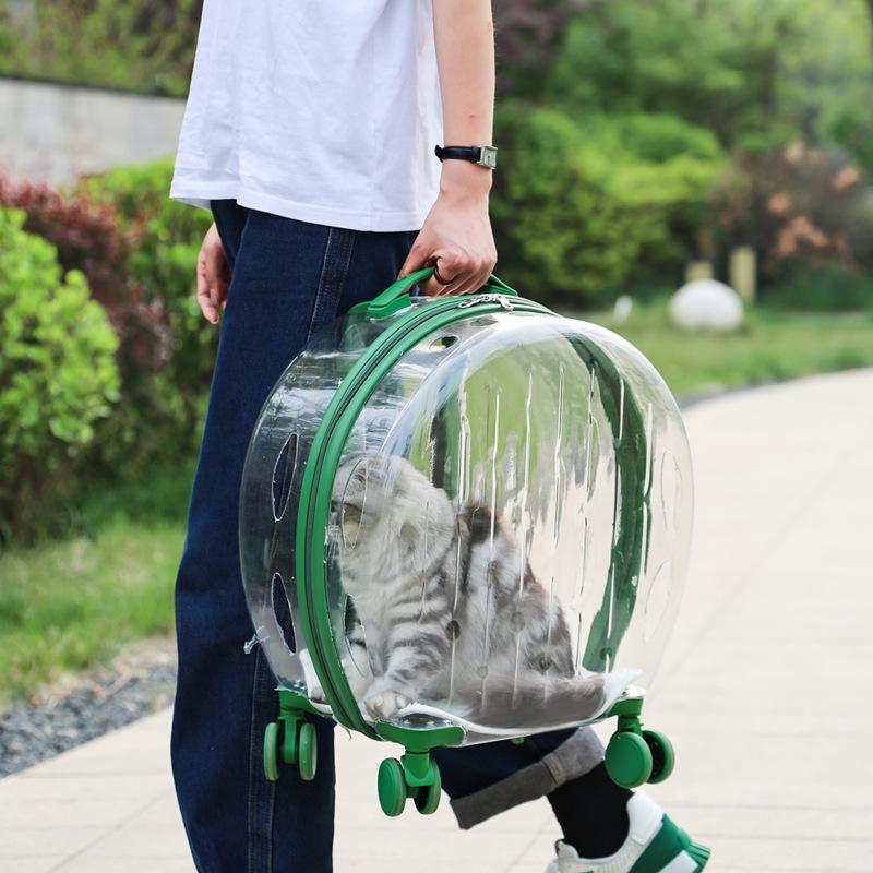 Sac Chien Chat Animal de Compagnie Boîte Trolley Transparente Respirante Porteurs Portables Sacs de Voyage Porté à la Main Aircase Pour Chiens Chats Sortie