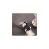 Sony MDR-EX650AP Earphones: In-ear type, brass housing, with microphone, brass black (MDREX650AP BQ)
