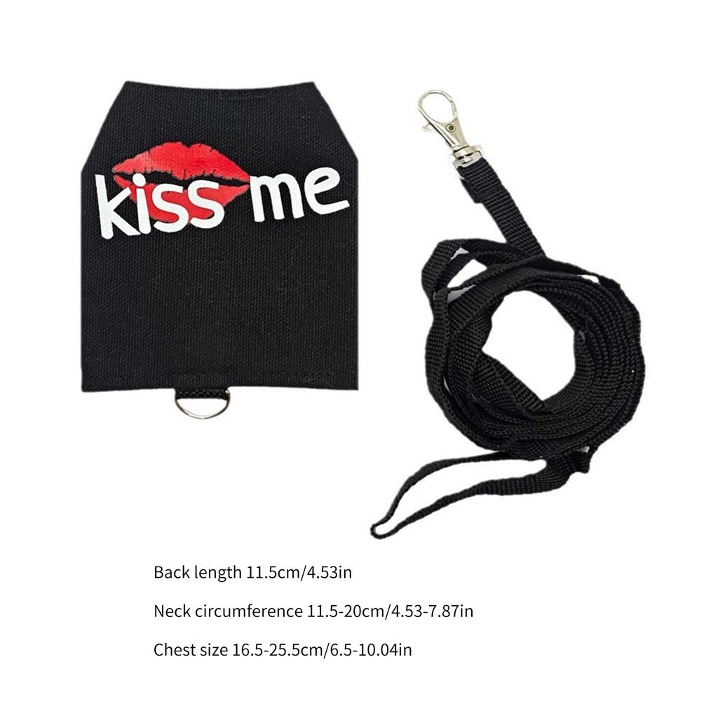 Verstellbares Geschirr für Bartagamen mit kurzer Leine. Bequemes Geschirr für Reptilien-Laufausrüstung für Outdoor-Aktivitäten