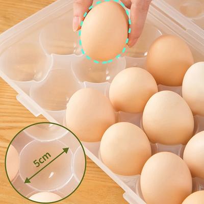 Gıda Kapları – Yumurta kapları