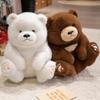 Cartoon Cute Sitting Bear Teddy Bear Doll Plush Toy Hug Bear Doll Children Soothing Doll