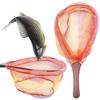 Wooden Handle Fishing Net Rubber Mesh Fly Fishing Net Handle Fly Catch and Release Net Outdoor Stream Fishing Tools