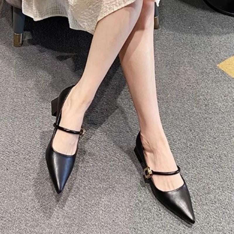 Fashion Women Pointed Mid-heels Mary Jane Shoes Female Autumn Retro Shallow Dress Shoes Ladies 2024 Fashion Elegant Square Heel Pumps