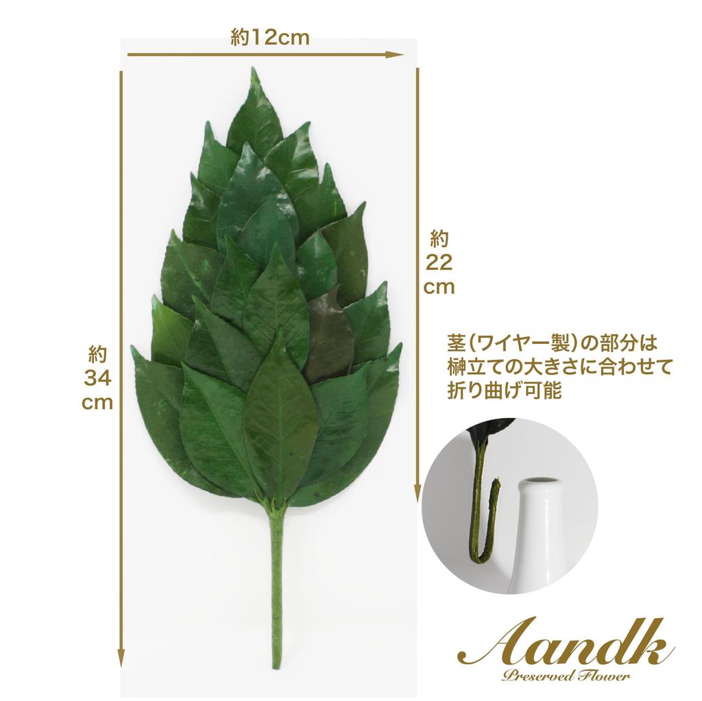 [A&K] Affordable, Heat-Resistant Sakaki Trees, "Kiwami," Large, Thick, Pair, Made with Natural Japanese Sakaki Trees and Camellia Leaves.