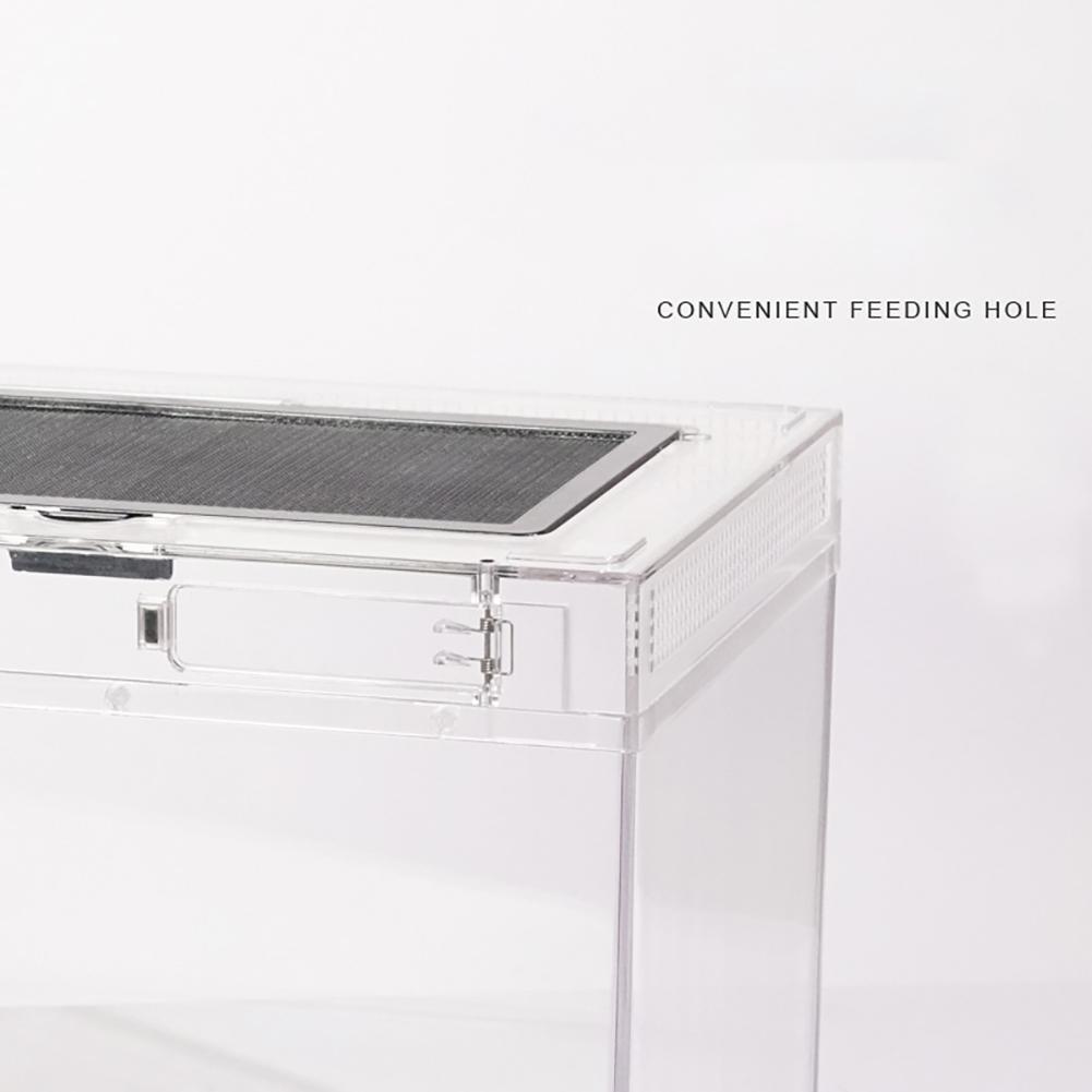 Reptiles Amphibians Feeding Box Acrylic Breeding Box Animal Habitat Cage Ventilation Holes Transparent Jumping Reptile Enclosure
