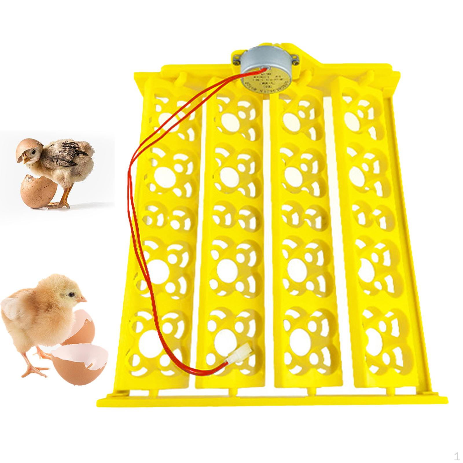Automatic Egg Incubator Tray with Turning Motor Eggs Turner Supplies Incubation