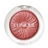 Cheek Pop Blusher Fig Pop Cool Tone Warm Tone Coral Winter