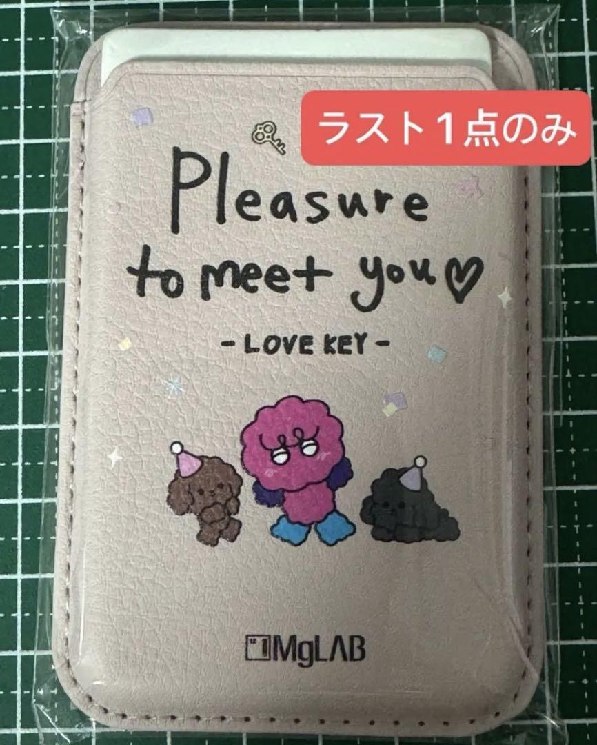 

[USED] SHINee KEY MgLAB Bokusiri Card Case