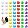 Poultry Marking Laser-Engraved Colored Leg Rings with Open Buckle
