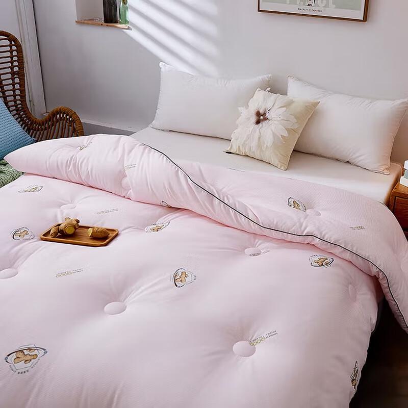 Muxinzi Warm Soft Winter Quilt