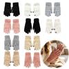 Double Layer Heat Storage Gloves 1 Pair Winter Warm Fleece Lined for Women Men Cold Resistant Weather Thermal Gloves Thickened Knit Touchscreen
