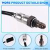 A21K-Oxygen Sensor O2 Sensor For BMW F 900 F 900XR R1250 GS R RS RT 2018-2024 11788393838 11788405117 11787716654 Motorcycle