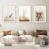 Naturlandschaft Nordisches Poster und Druck Beige Giraffe Strand Pflanze Botanische Kunst MalereiLeinwand Modernes Wandbild Wohnkultur
