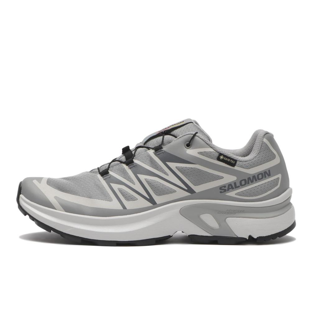 SaloMon Xt Evr Gtx M L49143800 Alloy Lunar Roc 250