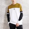 Puma Logo Print Colorblock Crew Neck Sweatshirt Men Tops White 595872-02