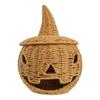 Handmade Witch Pumpkin Halloween  Decoration