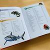 Genuine book Miles Kelly English Children's Encyclopedia Teenagers' Popular Science Knowledge Reading