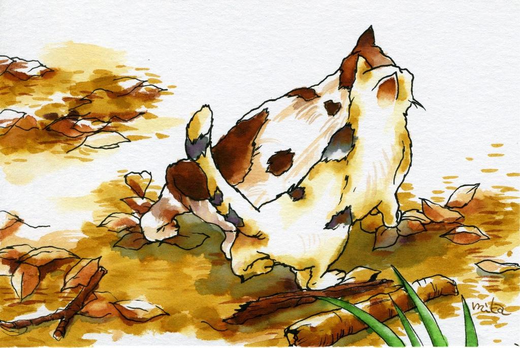 Watercolor brush Aya sketch set denim