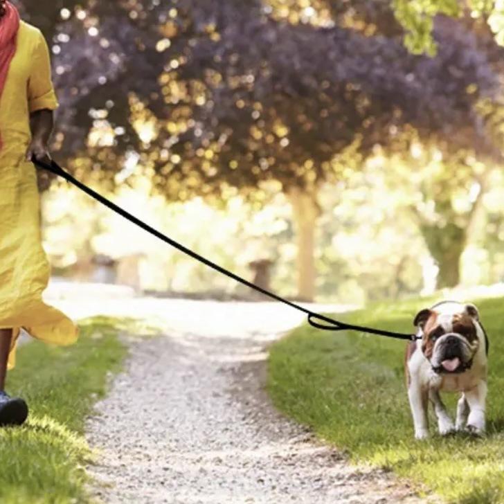 Heavy Duty Double Handle Dog Leash with Reflective Strips Double Strap for Dogs Leash for Pet Long Dog Leash GXQ16