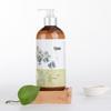 Qingcai Camellia Hair Conditioner