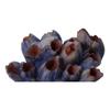 1Pc Purple Resin Coral Polyresin Aquarium Decoration Simulated Coral Ornaments  Fish Tank