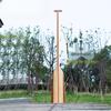 Solid Wood Dragon Boat Paddle