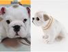 Resin Shaking Head Dog Figurine Car Ornament
