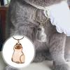 Cat Hair Storage Bottle for Collecting Cat And Dog Hair Transparent Pet Fur Keepsake Keychain with Tweezer Pet Memorial Gift