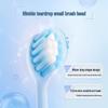 Shuke Soft Bristle Small Head Toothbrush (2-Pack)