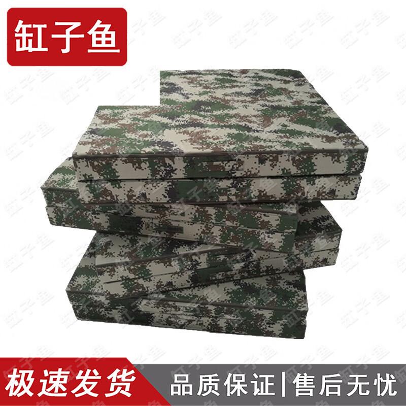 Gymnastics and Wrestling Mat
