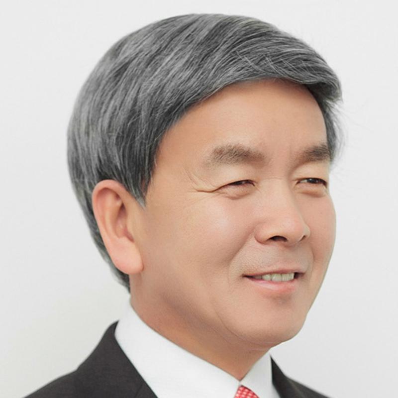 Middle-aged and Elderly Wigs, Flowery White, Men's Short Hair Wigs, Full Wigs