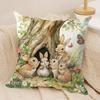 PPeter rrabbit Anime Cushion Cover Silky Short Plush Invisible Zipper Dustproof Sofa Pillow Case for Home Decor