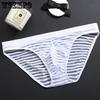 Men's Transparent Underwear Men's Triangle Pants Ultra-thin Mesh Transparent Sexy