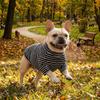 Warm Dog Base Coat High Collar Striped Sweatshirt Cat Household Wear Dog T-shirt  Indoor Use