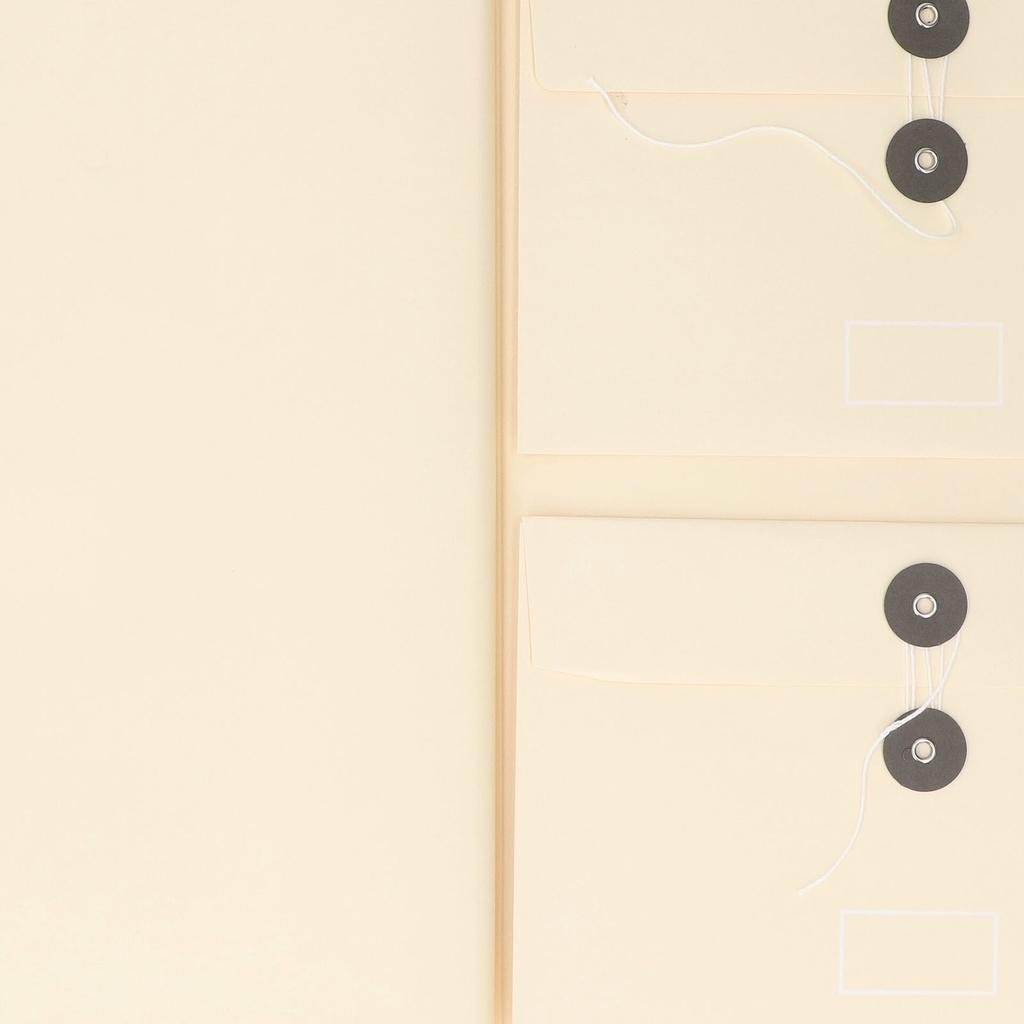Document Organizer Folio Secure Storage Prevent Loss PU Leather Expanding File Folder Beige