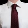 Family crest necktie (wine)