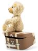 Steiff Charly Hängender Teddy im Koffer (30cm, Tan)