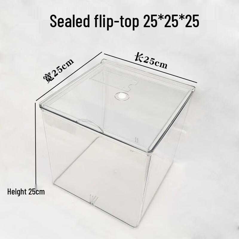 

Commercial Plastic Food Storage Container with Flip-Top Lid 25x25x25