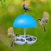Hanging Bird Feeders Mealworms And Bird Seed Feeders Small Mealworms Or Bird Seed Feeders Perfect Squirrel Proof Suet Feeders