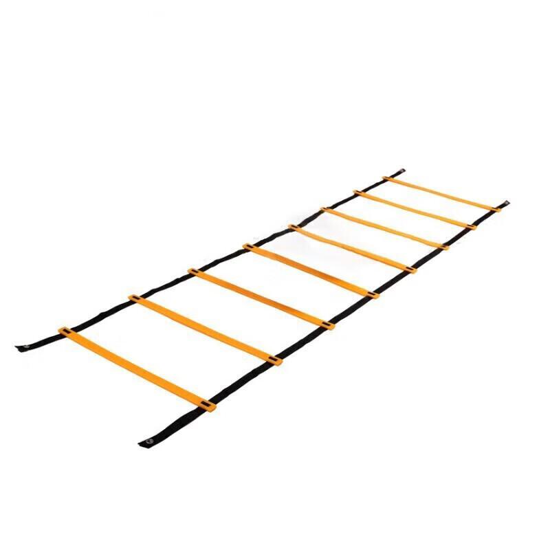 Agility Training Ladder