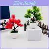 Pine Bonsai Garden Ornament With Faux Tree For Home Decor And Hotel Lobby