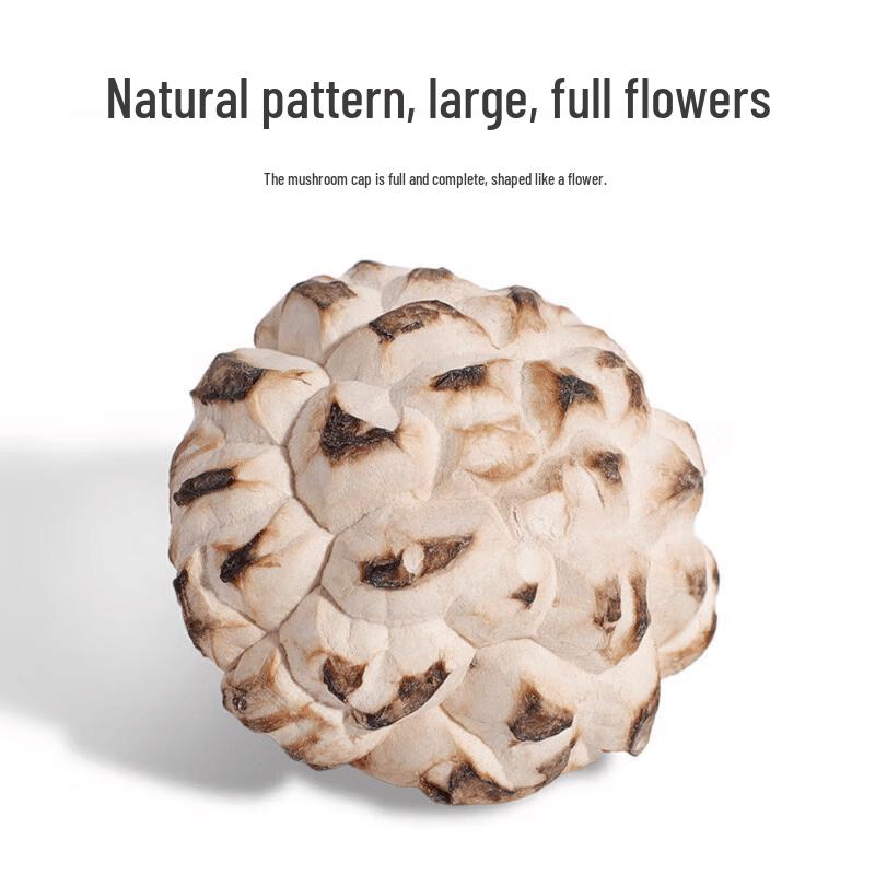 Guangwang Rongxin Premium Lushi Flower Mushrooms