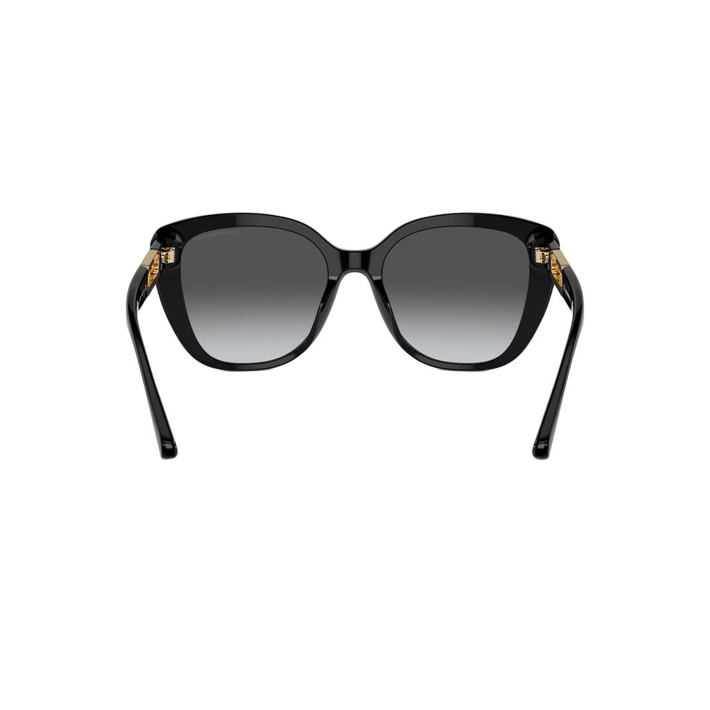 Emporio Armani Classic Fashion Large Frame Gradient Sunglasses Unisex sunglasses Bright-Black 0EA4214U-50178G