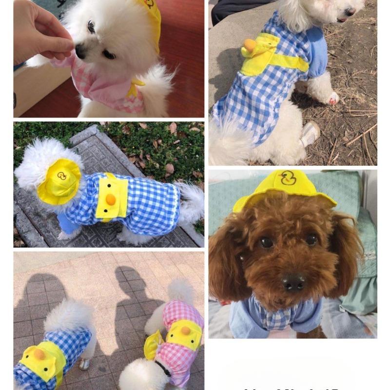 Kindergarten Cartoon Hunde-Rucksack, Haustierkleidung, Hunde- und Katzenzubehör, Frühlings-, Sommer- und Herbst-Katzen-Sets