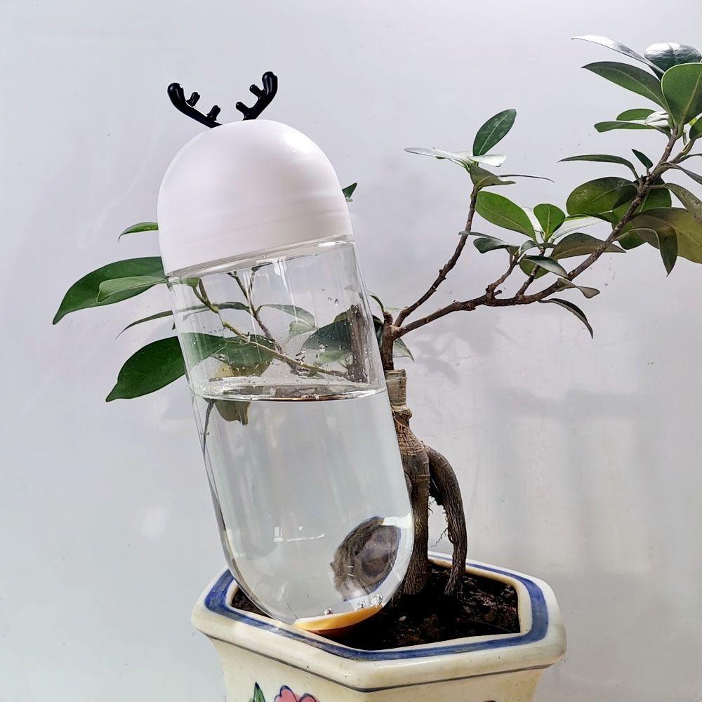 

Houseplant Flowers Plant For Garden Watering Tool Watering System Plant Waterer Drip Irrigation Tree